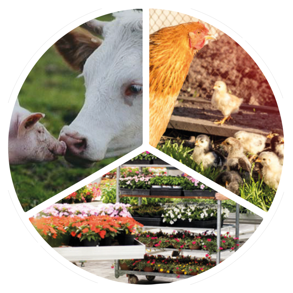 Imagen descriptiva de las actividades de la tienda Agrohorta Silleda